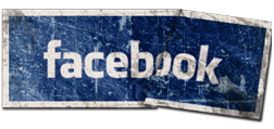 Social Punch Marketing logo